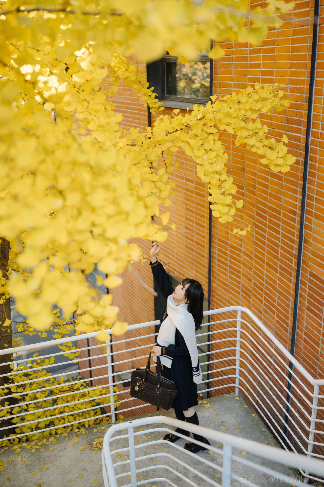 今晚的月色真美