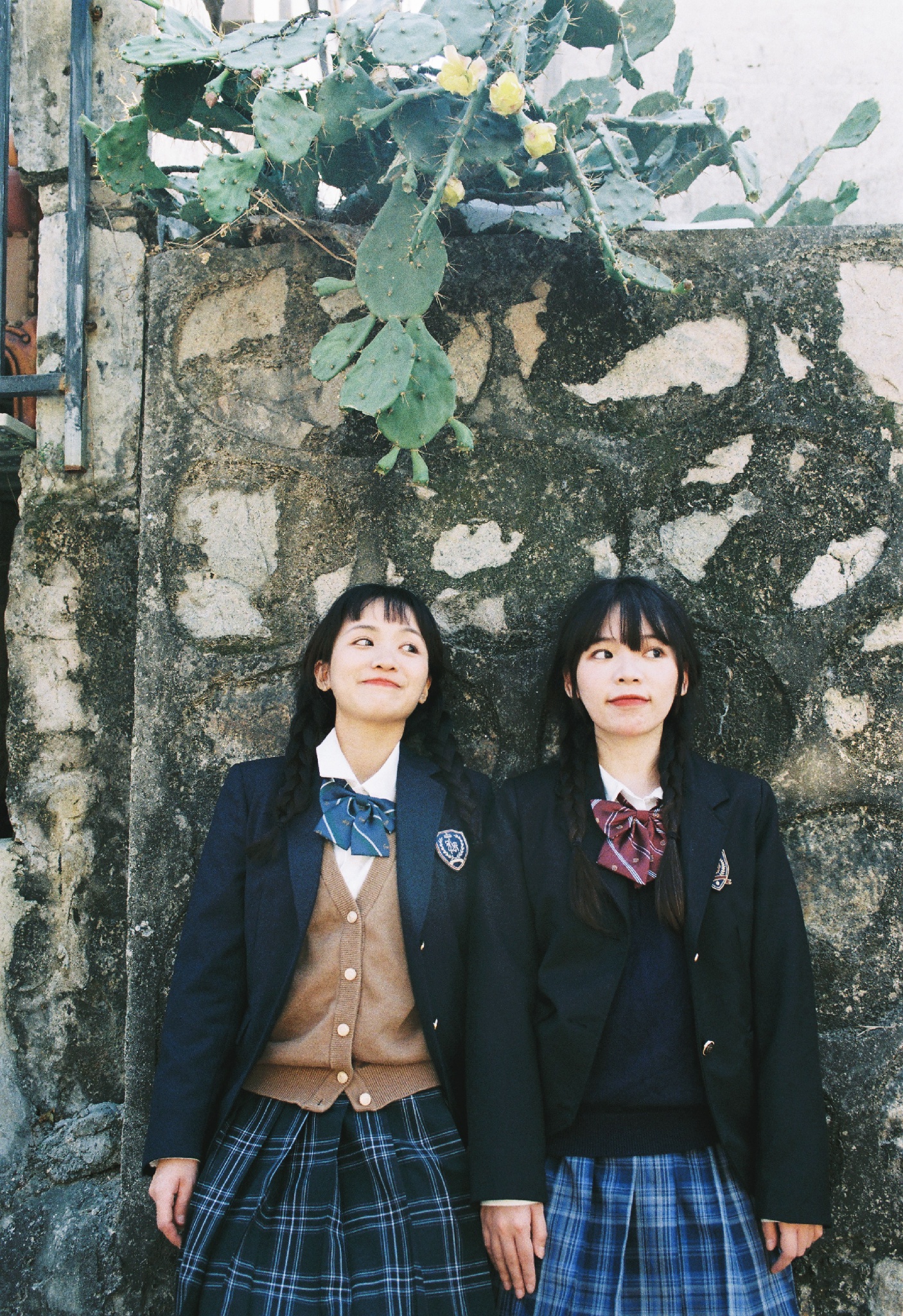 私の光を与えた